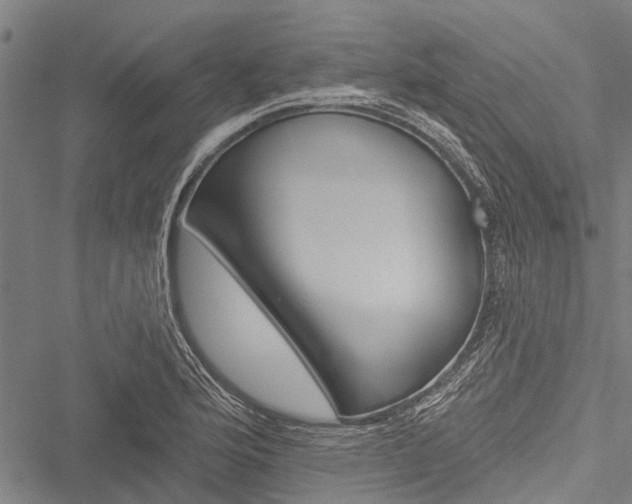 X0000051891176200506240955