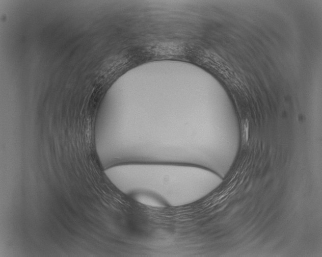 X0000051891251200506240953