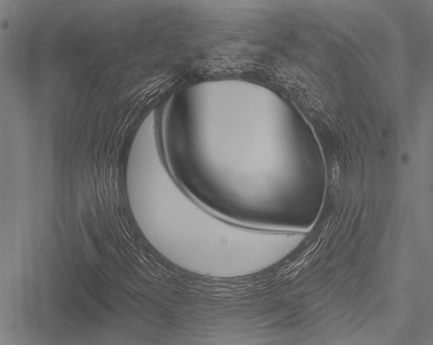 X0000051891300200506240952