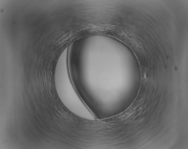 X0000051891348200506240952