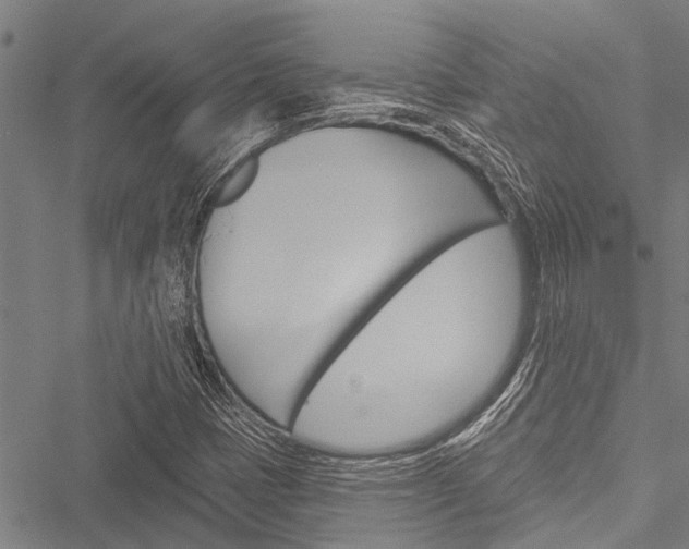 X0000051891401200506240950