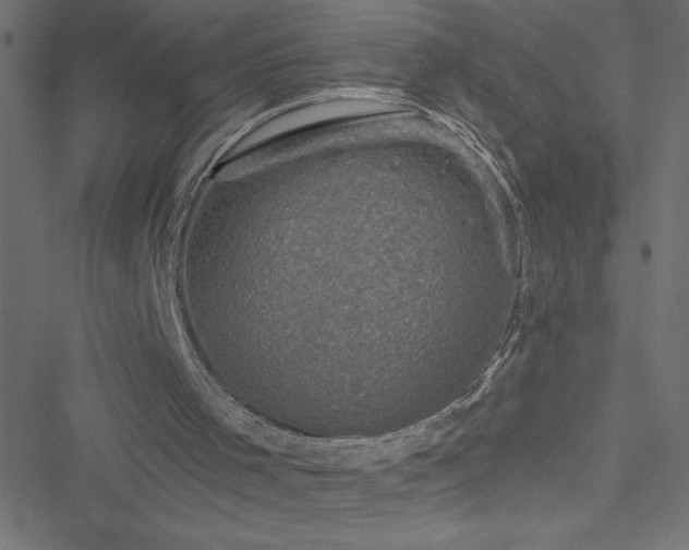 X0000051890001200506241401