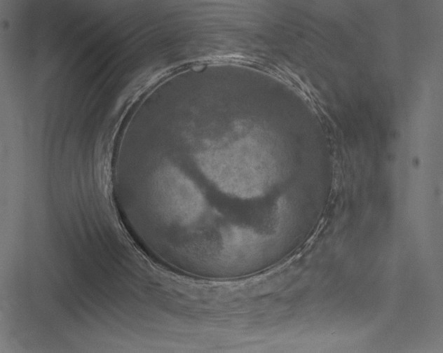 X0000051890002200506241401