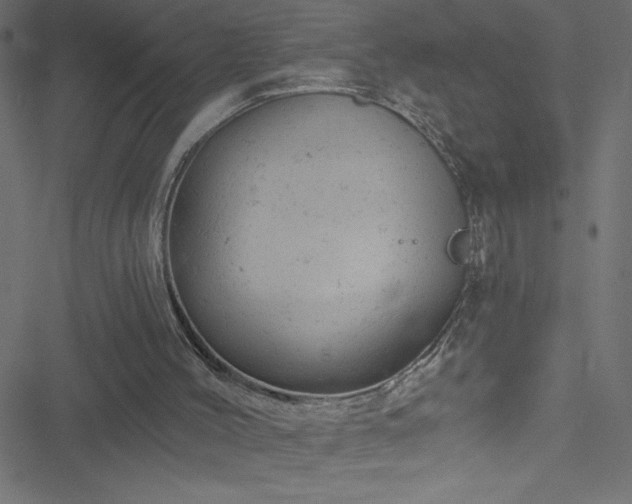 X0000051890004200506241400