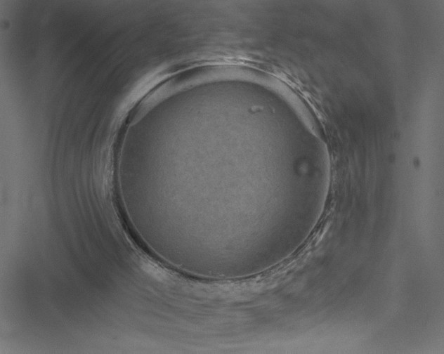 X0000051890005200506241400