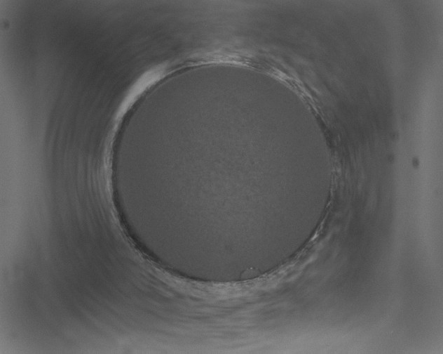 X0000051890006200506241400