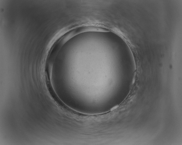 X0000051890007200506241400