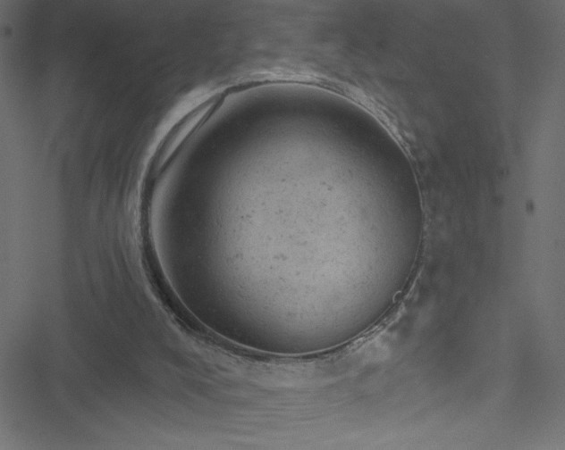 X0000051890008200506241400