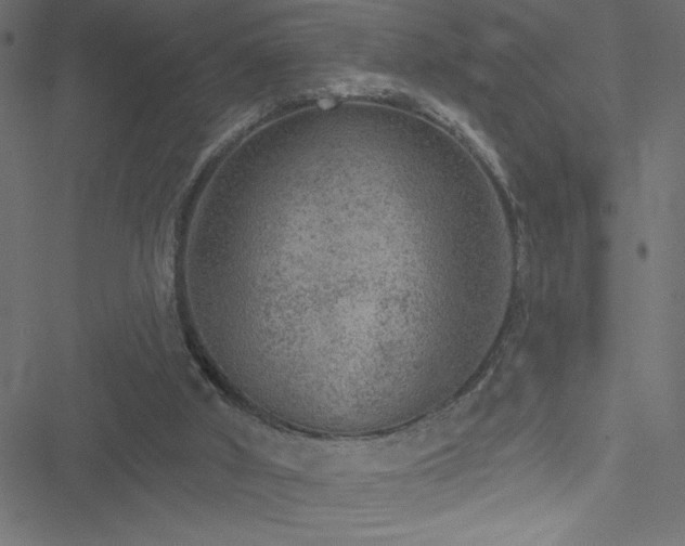 X0000051890010200506241400