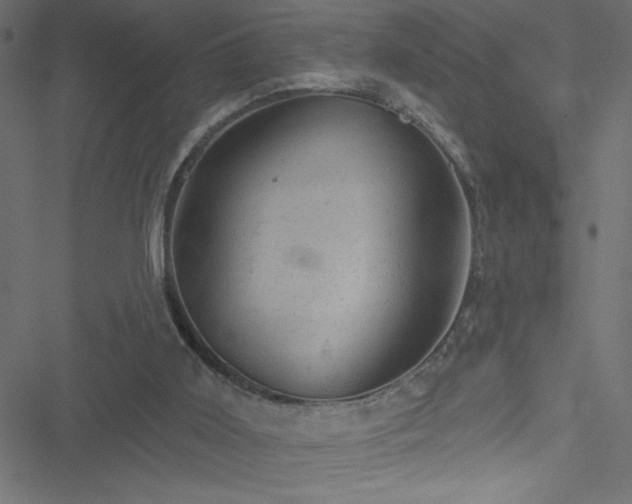 X0000051890011200506241400