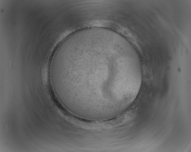 X0000051890012200506241400