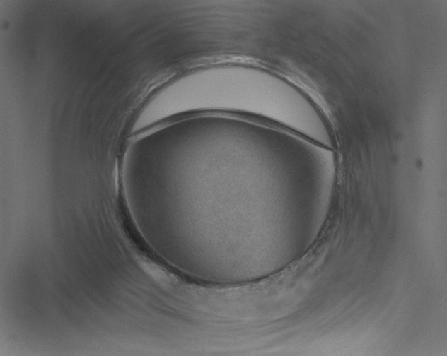 X0000051890013200506241400