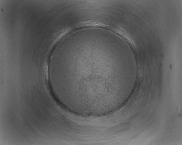 X0000051890014200506241400