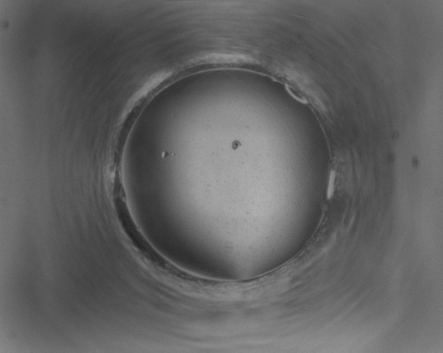 X0000051890015200506241400