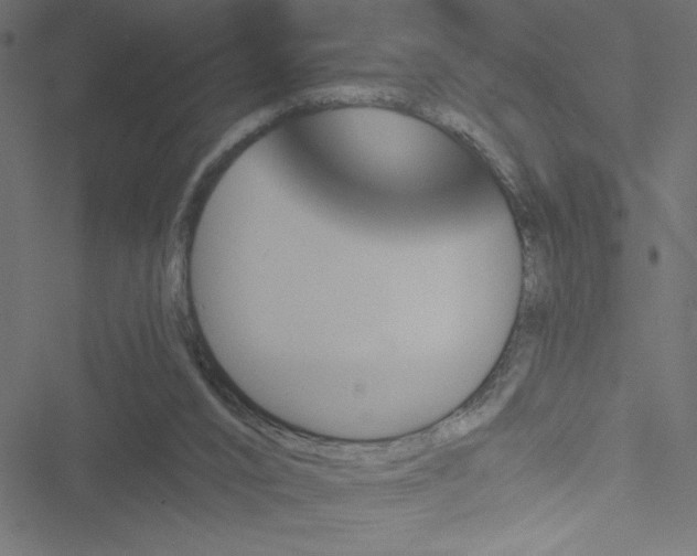 X0000051890016200506241400