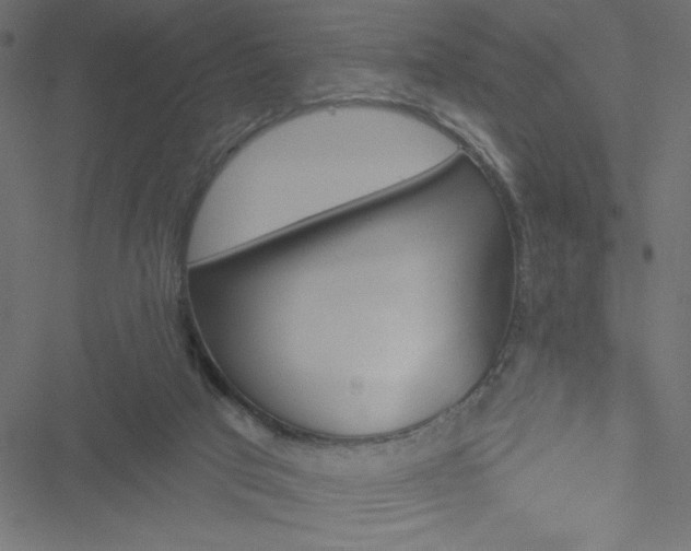 X0000051890017200506241400