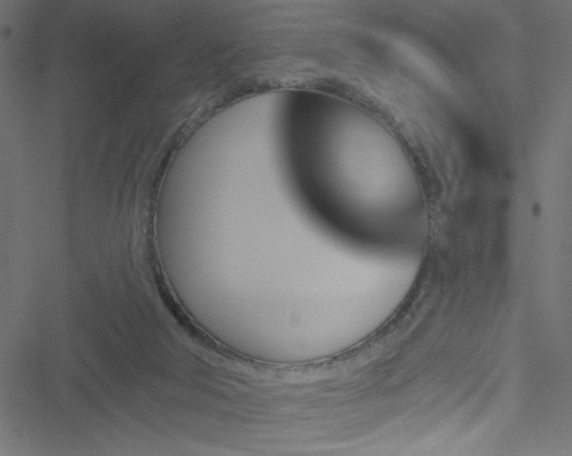 X0000051890018200506241400