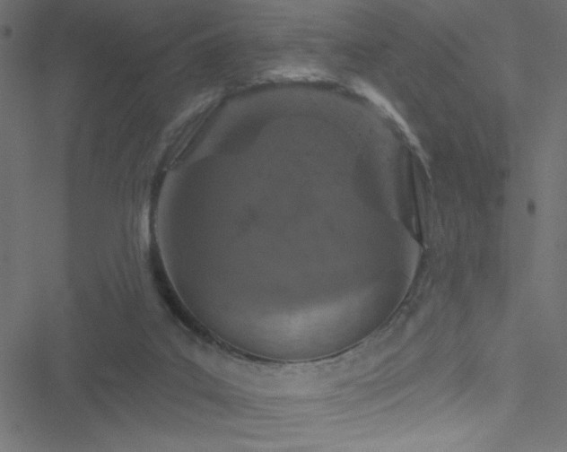 X0000051890019200506241400