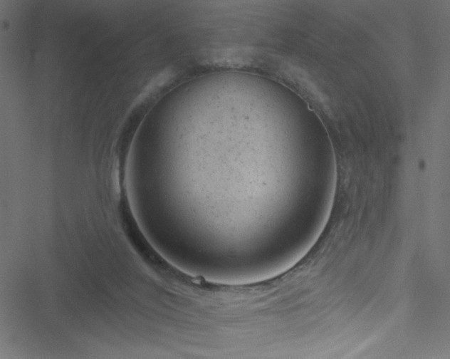 X0000051890020200506241400