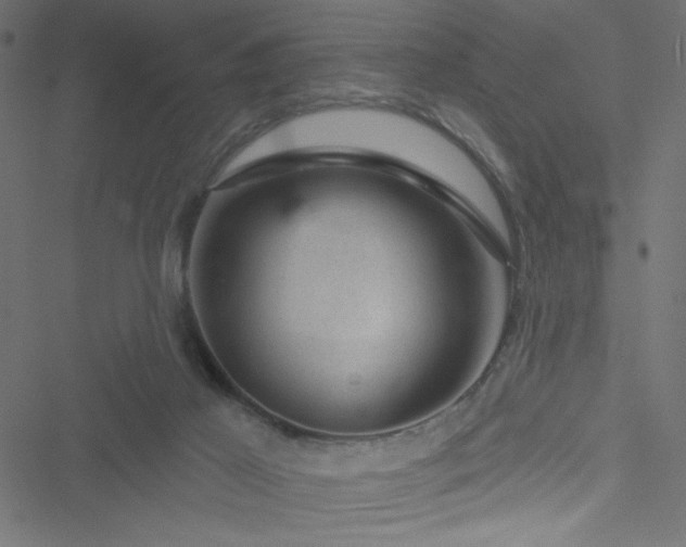 X0000051890021200506241400