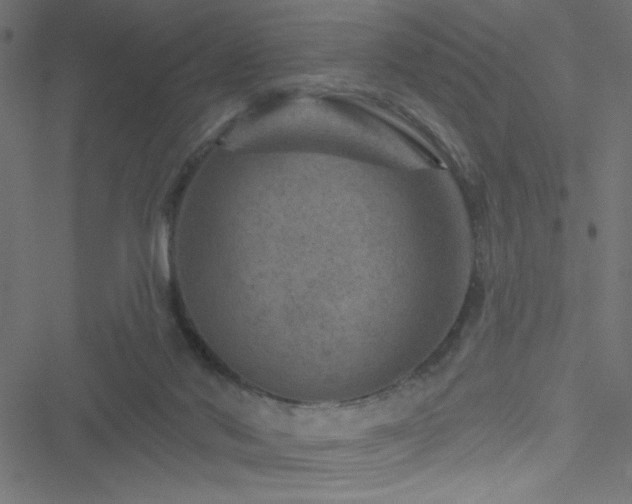 X0000051890022200506241400