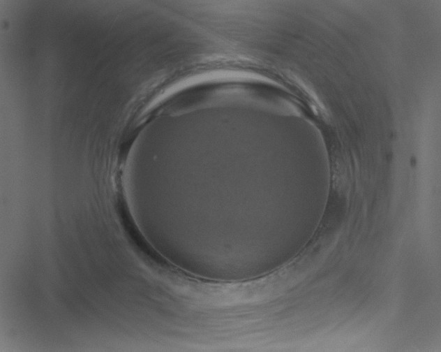 X0000051890023200506241400