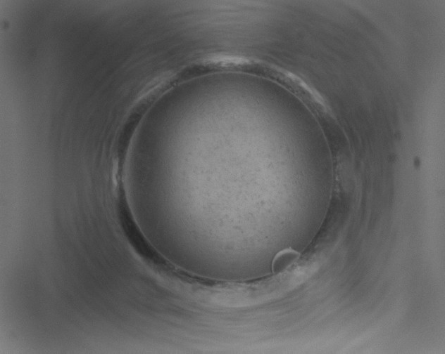 X0000051890024200506241400