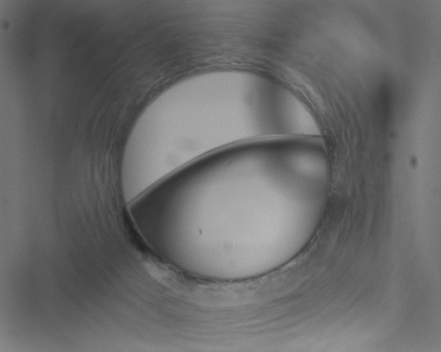 X0000051890025200506241400