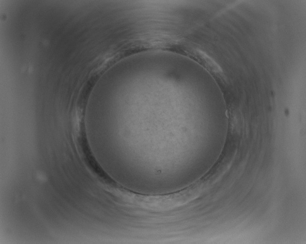 X0000051890026200506241400