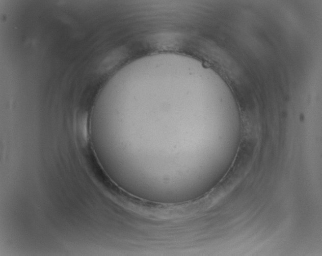 X0000051890028200506241400