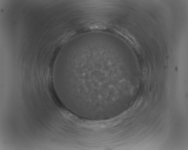 X0000051890029200506241400