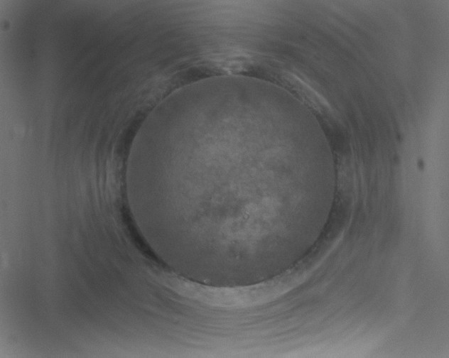 X0000051890030200506241400