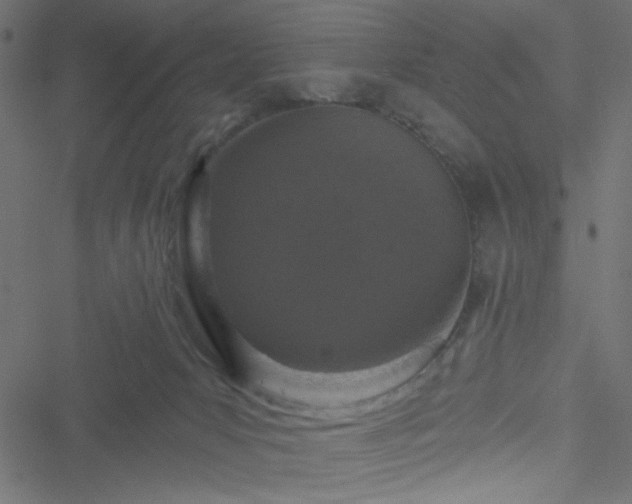 X0000051890031200506241400