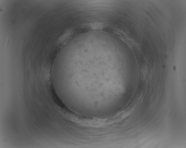 X0000051890032200506241400