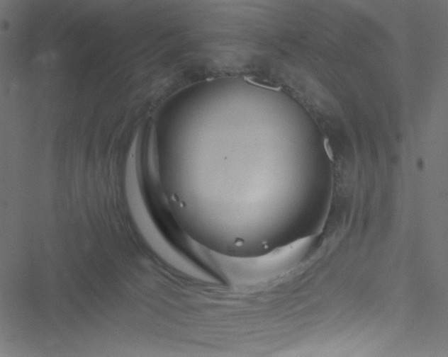 X0000051890033200506241400