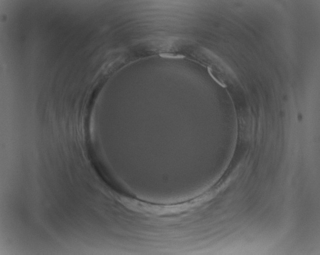 X0000051890035200506241400