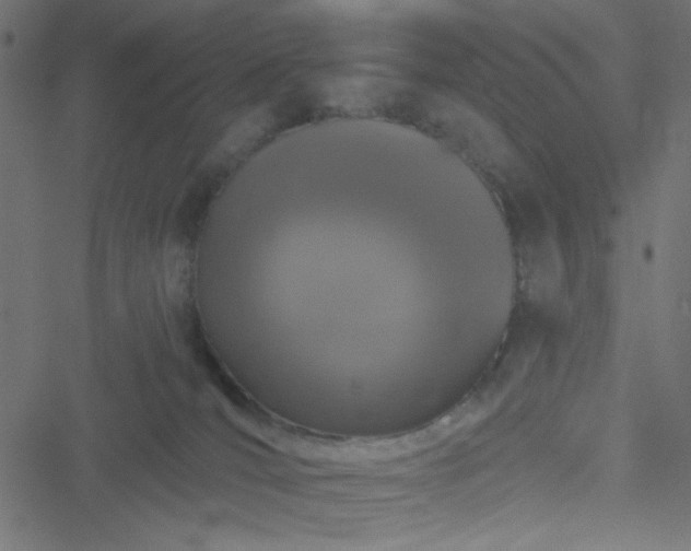 X0000051890036200506241400