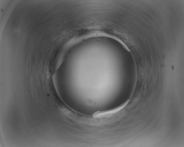 X0000051890037200506241400