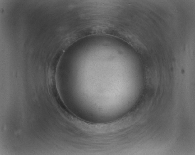 X0000051890038200506241400