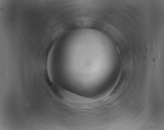 X0000051890040200506241400