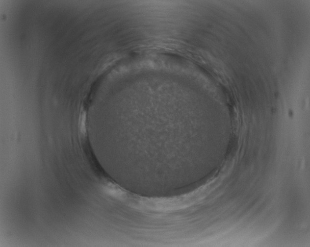 X0000051890041200506241400