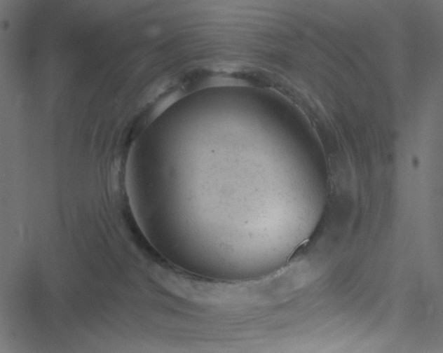 X0000051890044200506241400