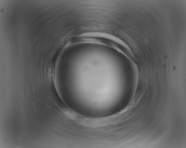 X0000051890045200506241400