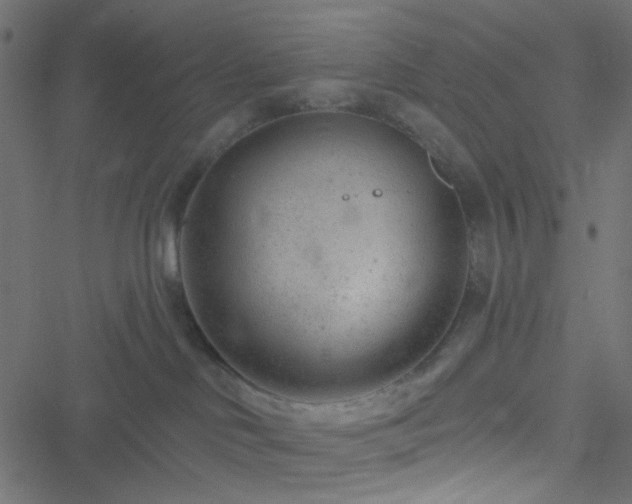 X0000051890046200506241400