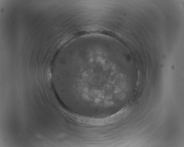 X0000051890048200506241400