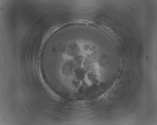 X0000051890049200506241359