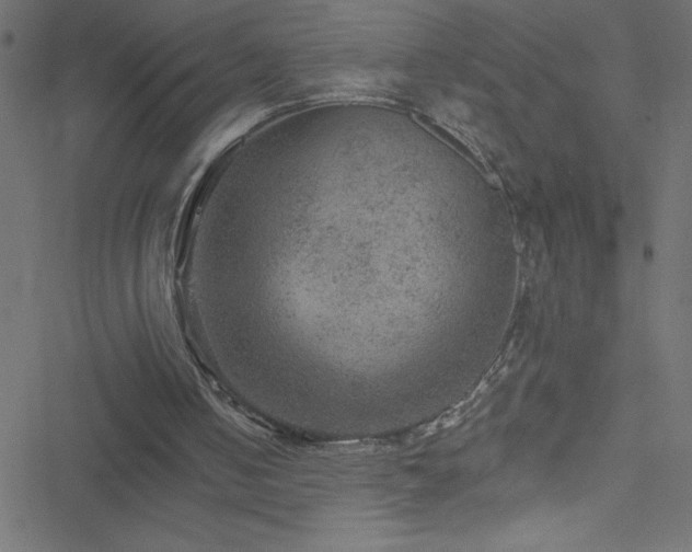 X0000051890050200506241359