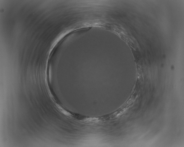 X0000051890052200506241359