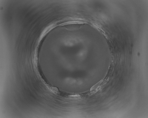 X0000051890053200506241359