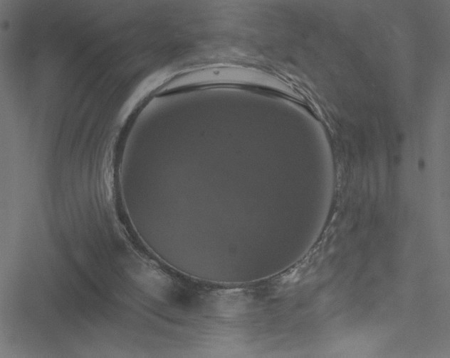 X0000051890054200506241359